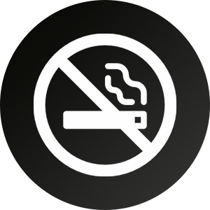 Smoking Icon